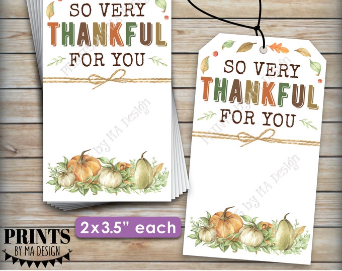 So Very Thankful for You Cards, Thanksgiving Favors, Gift Bag Tags, Appreciation, Thank You, 12 Cards on 8.5x11" Digital PRINTABLE File <ID>