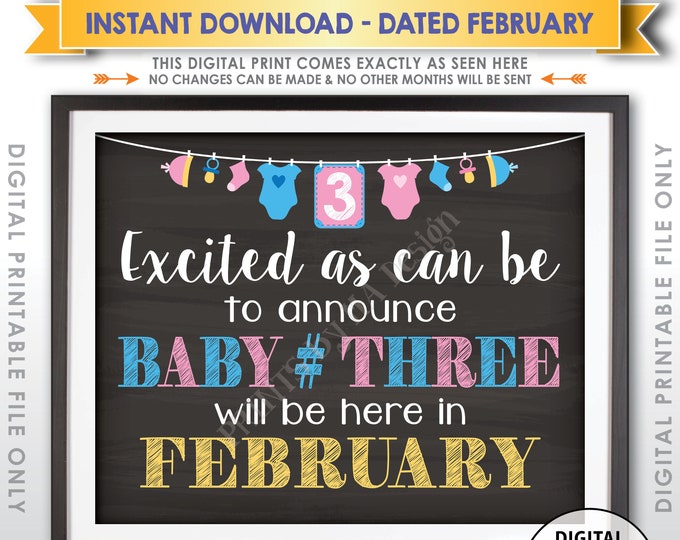 Baby Number 3 Pregnancy Announcement, Expecting Third Child, 3rd Baby Due in FEBRUARY Dated Chalkboard Style PRINTABLE Reveal Sign <ID>