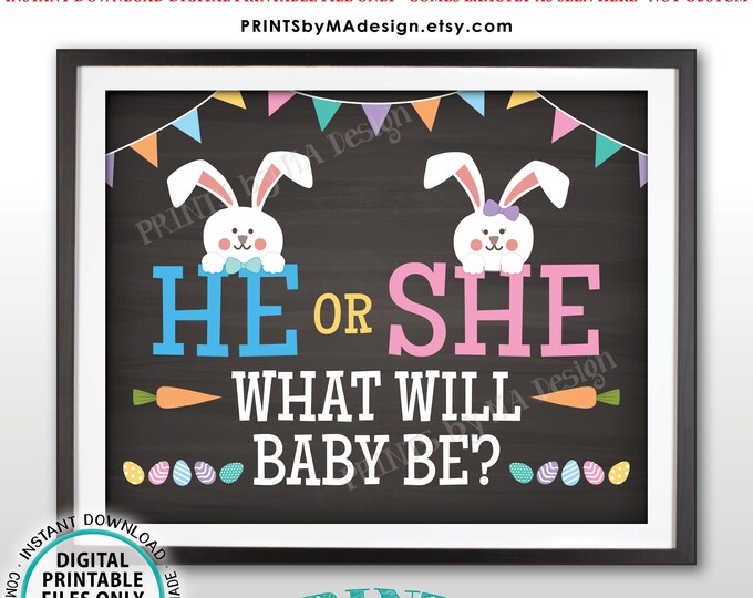 Easter Gender Reveal Pregnancy Announcement, He or She What Will Baby Be?, PRINTABLE 8x10/16x20” Chalkboard Style Sign <Instant Download>