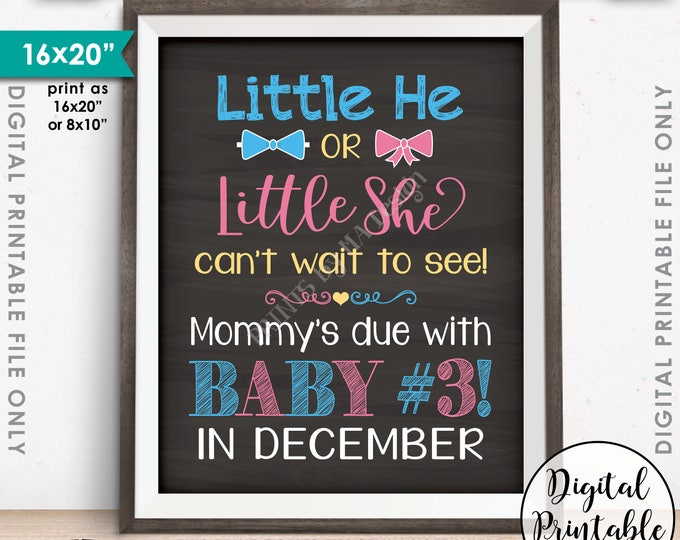 Baby Number 3 Pregnancy Announcement, Little He or Little She Can't Wait to See Baby #3 in DECEMBER Dated PRINTABLE Baby Reveal Sign <ID>