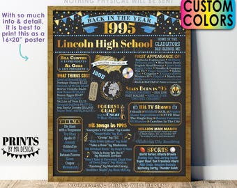 Back in the Year 1995 Poster Board, Class of 1995 Reunion Decoration, Flashback to 1995 Graduating Class, Custom PRINTABLE 16x20” Sign