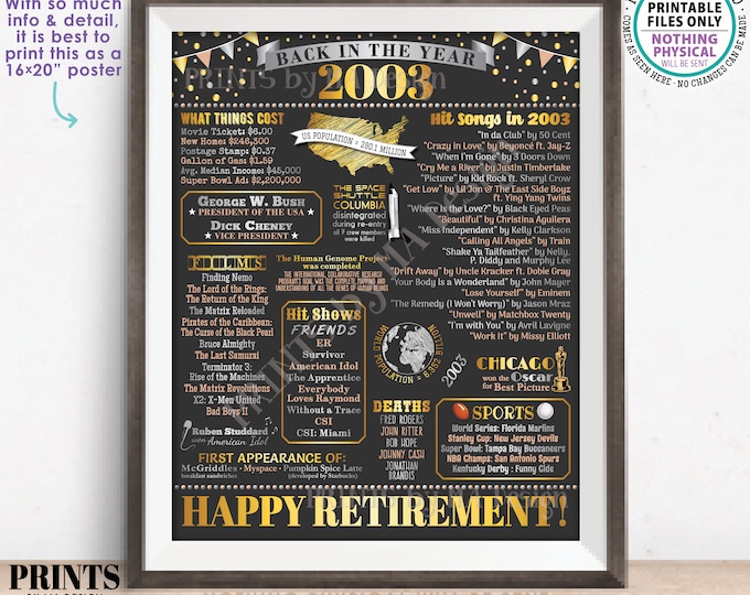 Back in the Year 2003 Retirement Party Poster Board, Flashback to 2003 Sign, PRINTABLE 16x20” Retirement Party Decoration <ID>