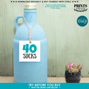 May include: A light blue painted glass jug with a handle and a white square tag hanging from a string. The tag features the teal text 40 and the black text SUCKS. A small black pot containing pink rosebuds sits to the right of the jug.