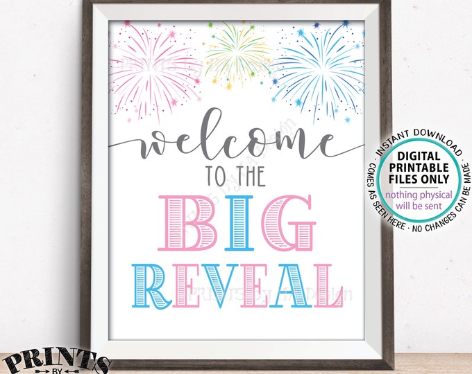 Fireworks Gender Reveal Party Sign, Welcome to the BIg Reveal, Pink or Blue, PRINTABLE 8x10/16x20" Welcome Sign <ID>