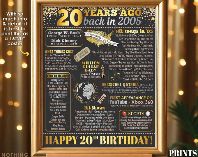20th Birthday Poster Board, Back in the Year 2005 Flashback 20 Years Ago B-day Gift, PRINTABLE 16x20” Born in 2005 Sign <ID>