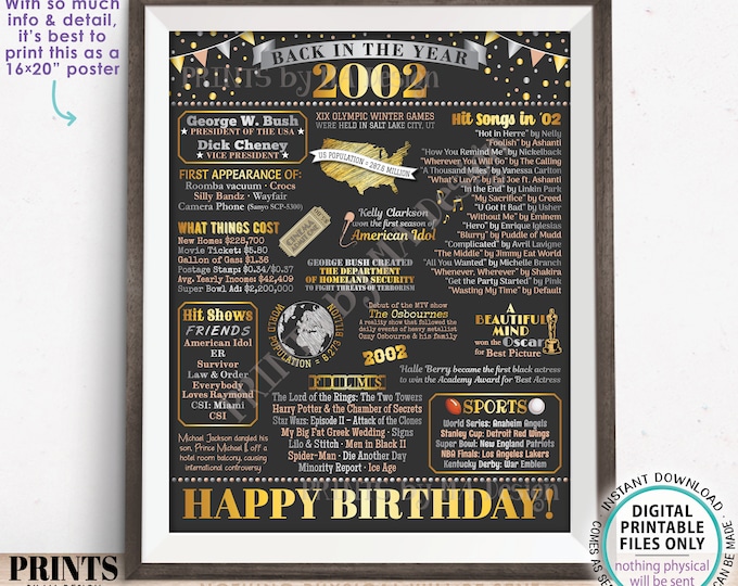 Back in the Year 2002 Birthday Sign, Flashback to 2002 Poster Board, ’02 B-day Gift, Bday Decoration, PRINTABLE 16x20” Sign <ID>