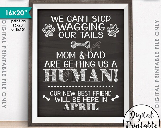 Pregnancy Announcement for Dogs, Mom & Dad are Getting Us a Human, Due in APRIL Dated Chalkboard Style PRINTABLE Pregnancy Reveal Sign <ID>