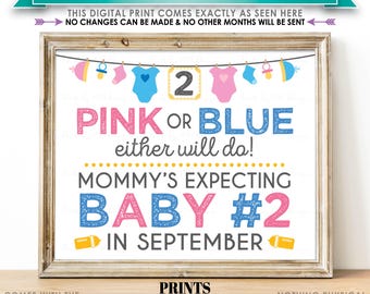 Baby Number 2 Pregnancy Announcement Sign, Pink or Blue Either Will Do, Baby #2 Due in SEPTEMBER PRINTABLE 8x10/16x20” Baby Reveal Sign <ID>
