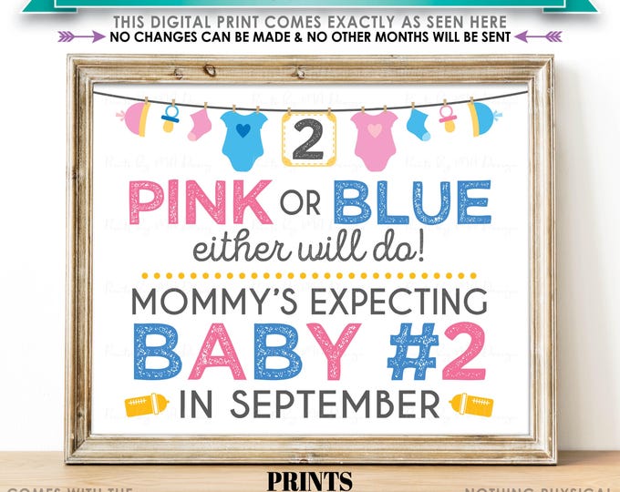 Baby Number 2 Pregnancy Announcement Sign, Pink or Blue Either Will Do, Baby #2 Due in SEPTEMBER PRINTABLE 8x10/16x20” Baby Reveal Sign <ID>