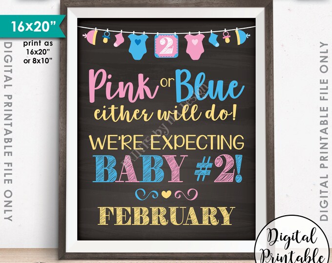 Baby #2 Pregnancy Announcement Pink or Blue Either Will Do Baby Number 2 due FEBRUARY Dated Chalkboard Style PRINTABLE Baby Reveal Sign <ID>