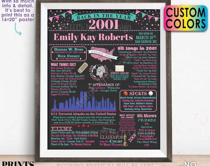 Back in the Year 2001 Birthday Sign, Flashback to 2001 Poster Board, 2001 Birthday Gift, Custom PRINTABLE 16x20” B-day Decoration