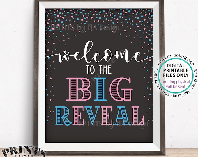 Welcome to the Big Reveal Sign, Gender Reveal Party Sign, PRINTABLE 8x10/16x20 Gender Reveal Sign, Pink & Blue Confetti <ID>