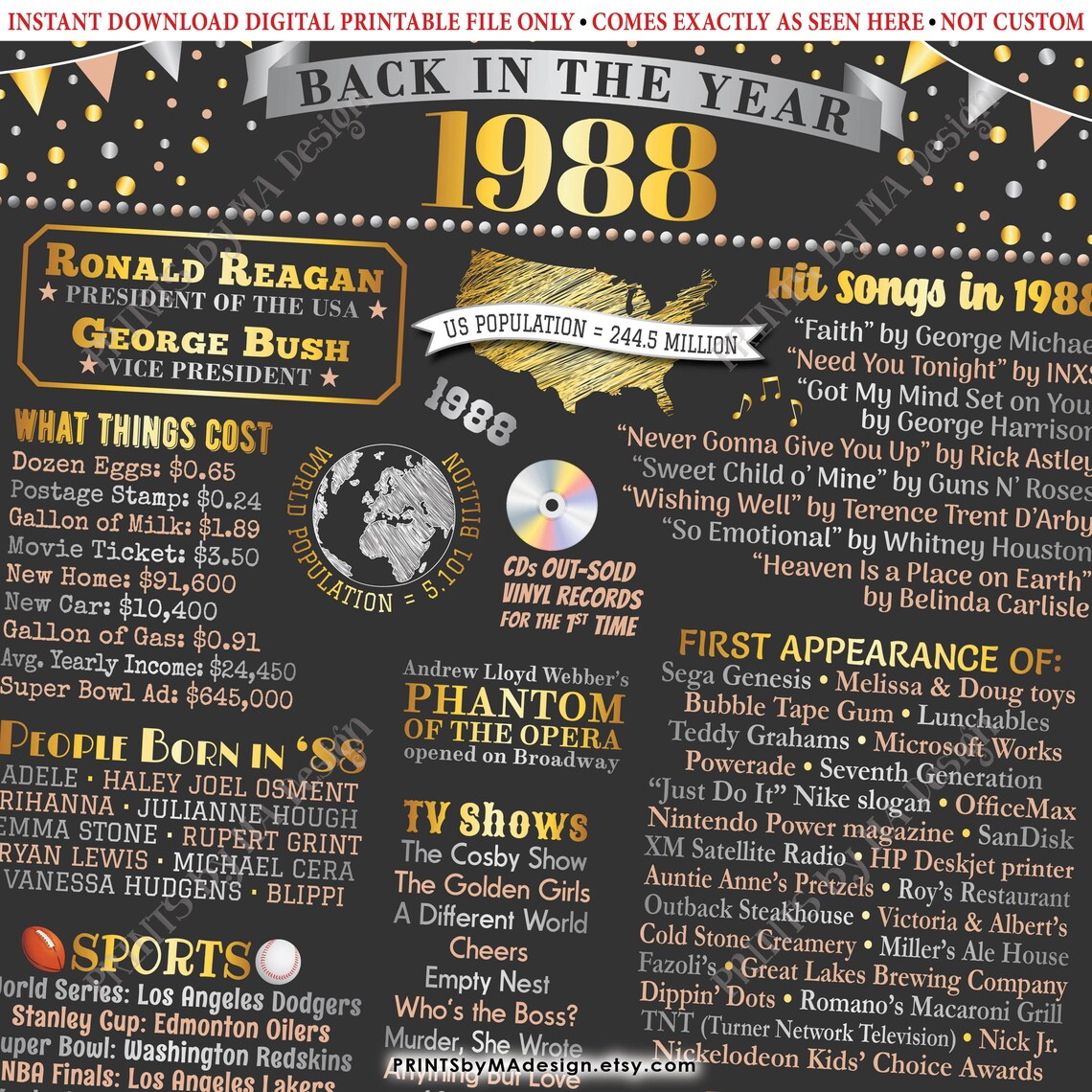 Back in the Year 1988 Birthday Sign, Flashback to 1988 Poster Board ...