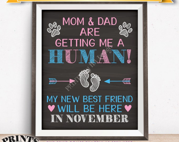 Pet Pregnancy Announcement Sign Mom & Dad are Getting Me a Human in NOVEMBER Dated Chalkboard Style PRINTABLE Baby Reveal for a Dog/Cat <ID>