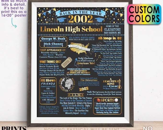 Back in the Year 2002 Poster Board, Class of 2002 Reunion Decoration, Flashback to 2002 Graduating Class, Custom PRINTABLE 16x20” Sign
