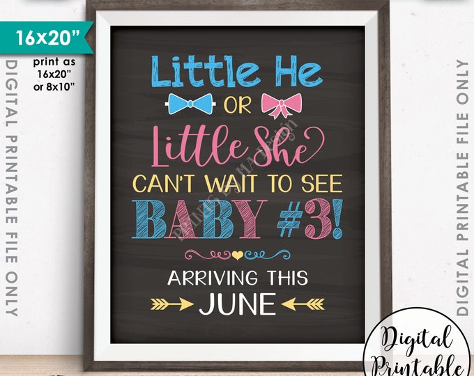 Pregnancy Announcement Little He or Little She Can't Wait to See Baby #3 due JUNE Dated Chalkboard Style PRINTABLE 3rd Baby Reveal Sign <ID>
