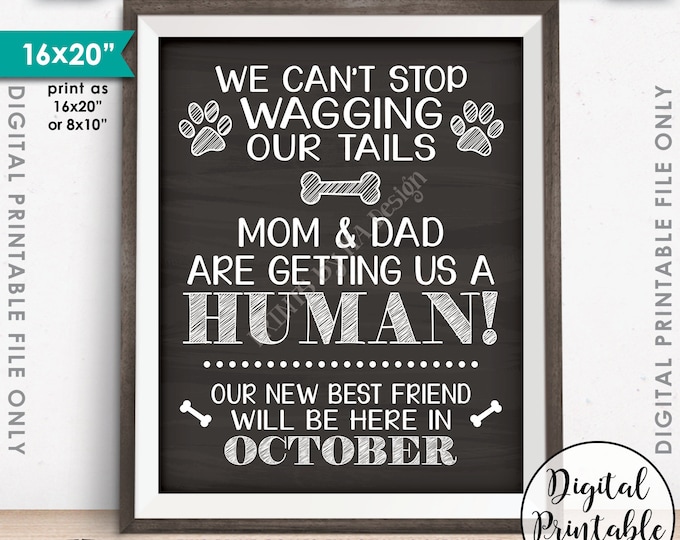 Dogs Pregnancy Announcement, Mom & Dad are Getting Us a Human, Due in OCTOBER Dated Chalkboard Style PRINTABLE Pregnancy Reveal Sign <ID>