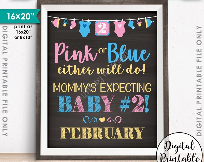Baby #2 Pregnancy Announcement Pink or Blue Baby Either Will Do Baby Number 2 due FEBRUARY Dated Chalkboard Style PRINTABLE Reveal Sign <ID>