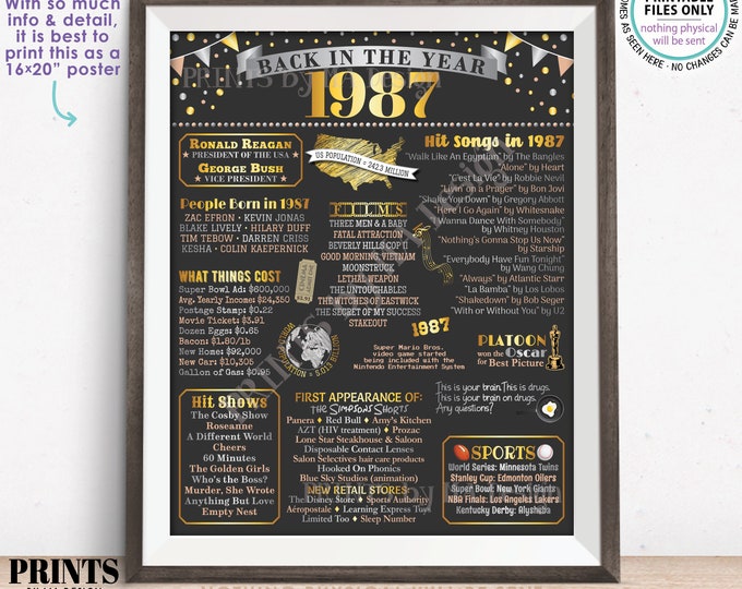 Back in the Year 1987 Poster Board, Remember 1987 Sign, Flashback to 1987 USA History from 1987, PRINTABLE 16x20” Sign <ID>