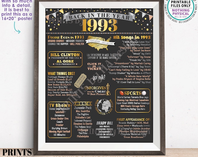 Back in the Year 1993 Poster Board, Remember 1993 Sign, Flashback to 1993 USA History from 1993, PRINTABLE 16x20” Sign <ID>