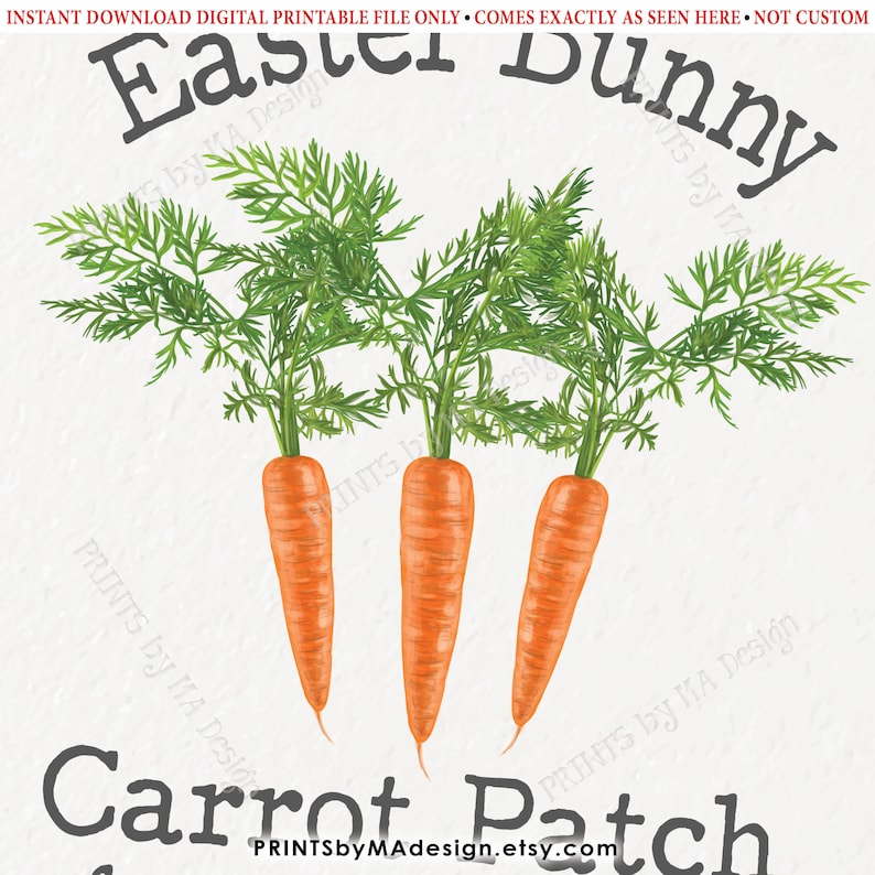 Easter Bunny Carrot Patch Sign Carrot Easter Decor Cute Etsy