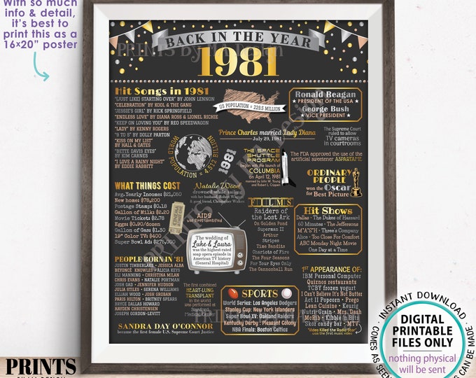 Back in the Year 1981 Poster Board, Remember 1981 Sign, Flashback to 1981 USA History from 1981, PRINTABLE 16x20” Sign <ID>