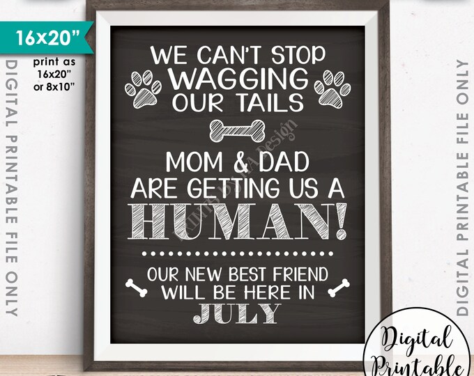 Dogs Pregnancy Announcement dated JULY, Mom & Dad are Getting Us a Human in July Dated Chalkboard Style PRINTABLE Baby Reveal Sign <ID>