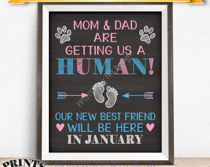 Pets Pregnancy Announcement Sign, Mom & Dad are Getting Us a Human in JANUARY Dated Chalkboard Style PRINTABLE Reveal for Dogs/Cats <ID>