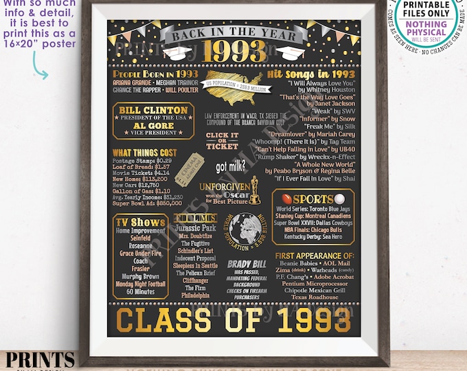 Back in 1993 Poster Board, Graduating Class of 1993 Reunion Decoration, Flashback to 1993 High School Reunion, PRINTABLE 16x20” Sign <ID>