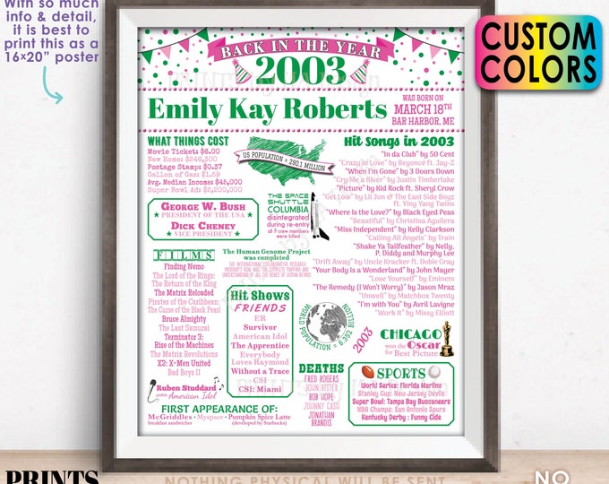 Back in the Year 2003 Birthday Sign, Flashback to 2003 Poster Board, Birthday Gift, Custom Colors, PRINTABLE 16x20” 2003 B-day Decoration