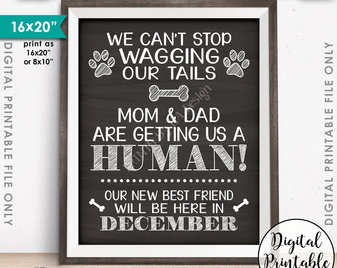 Dogs Pregnancy Announcement, Dog Reveal, Mom & Dad are Getting Us a Human in DECEMBER Dated Chalkboard Style PRINTABLE Baby Reveal Sign <ID>