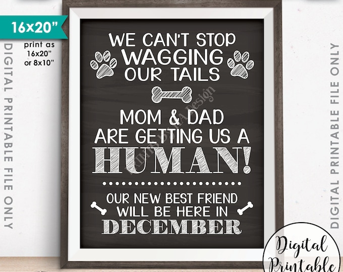 Dogs Pregnancy Announcement, Dog Reveal, Mom & Dad are Getting Us a Human in DECEMBER Dated Chalkboard Style PRINTABLE Baby Reveal Sign <ID>