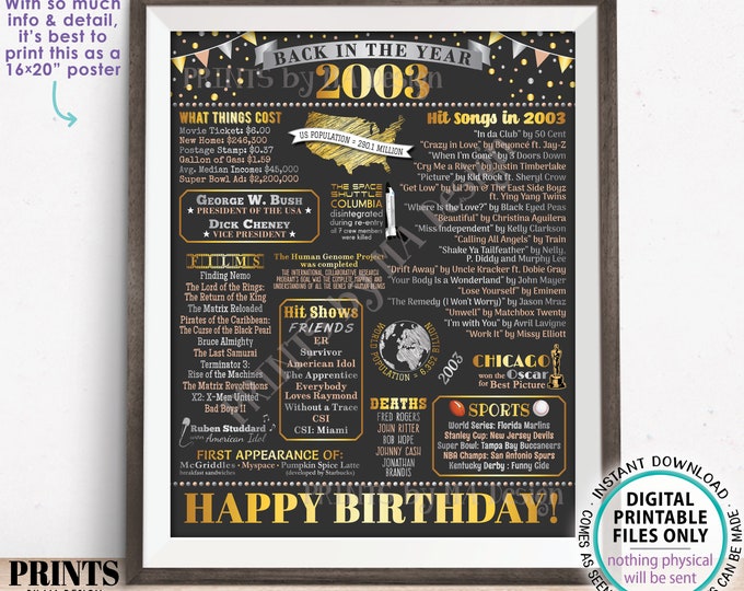 Back in the Year 2003 Birthday Sign, Flashback to 2003 Poster Board, ‘03 B-day Gift, Bday Decoration, PRINTABLE 16x20” Sign <ID>