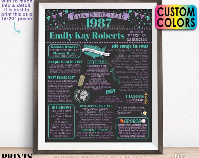 Back in the Year 1987 Birthday Sign, Flashback to 1987 Poster Board, 1987 Birthday Gift, Custom PRINTABLE 16x20” B-day Decoration
