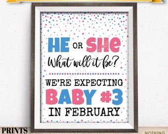 Baby Number 3 Pregnancy Announcement, He or She What Will It Be We're Expecting Baby #3 in FEBRUARY Dated PRINTABLE Sign <ID>