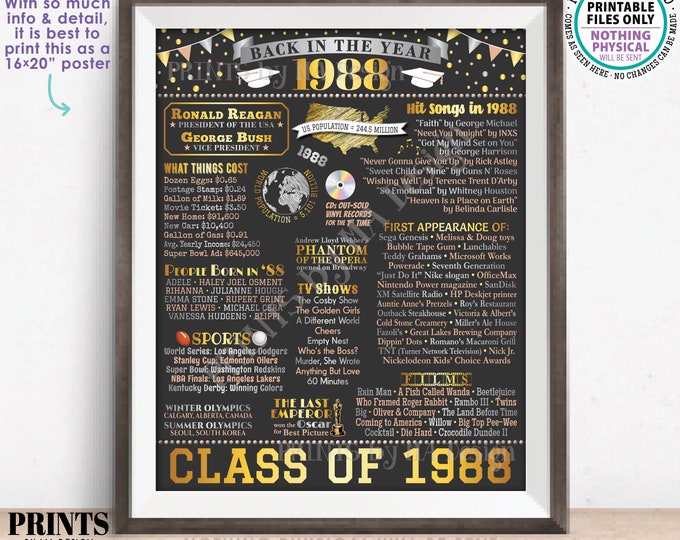 Back in 1988 Poster Board, Graduating Class of 1988 Reunion Decoration, Flashback to 1988 High School Reunion, PRINTABLE 16x20” Sign <ID>