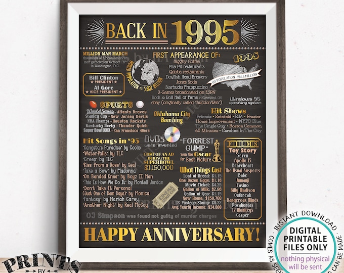 Back in 1995 Anniversary Poster Board, Flashback to 1995 Anniversary Decor, PRINTABLE 16x20” Sign, 1995 Anniversary Gift <ID>