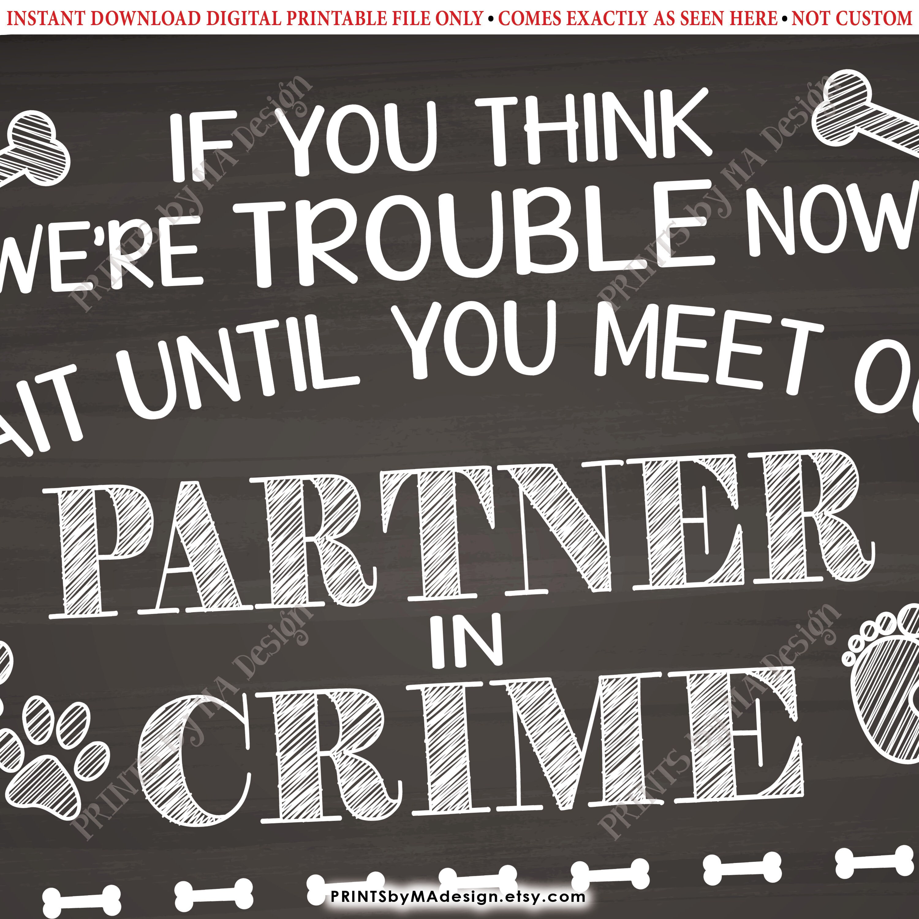 Dog Pregnancy Announcement Sign Partners Meet Our Partner In Crime dog-pregnancy-announcement-sign-partners-meet-our-partner-in-crime