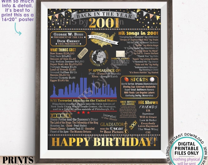 Back in the Year 2001 Birthday Sign, Flashback to 2001 Poster Board, ‘01 B-day Gift, Bday Decoration, PRINTABLE 16x20” Sign <ID>
