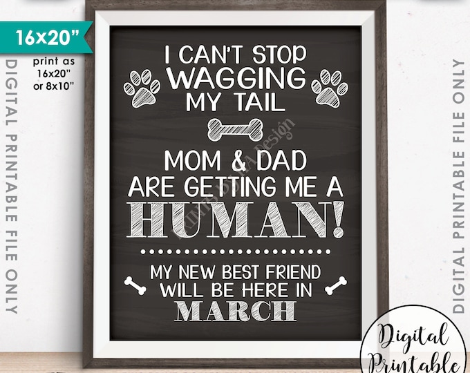 Dog Pregnancy Announcement, Mom & Dad are Getting Me a Human, Baby Due in MARCH Dated PRINTABLE Chalkboard Style Pregnancy Reveal Sign <ID>