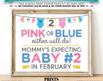 Baby Number 2 Pregnancy Announcement Sign, Pink or Blue Either Will Do, Baby #2 Due in FEBRUARY, PRINTABLE 8x10/16x20” Baby Reveal Sign <ID>
