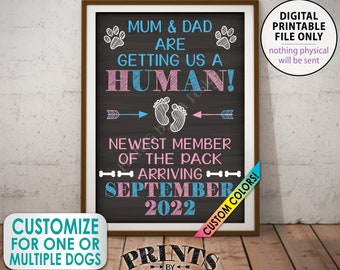 Dog Pregnancy Announcement, Mum & Dad are Getting a Human, Newest Member of the Pack, Custom Chalkboard Style PRINTABLE A1 Baby Reveal Sign