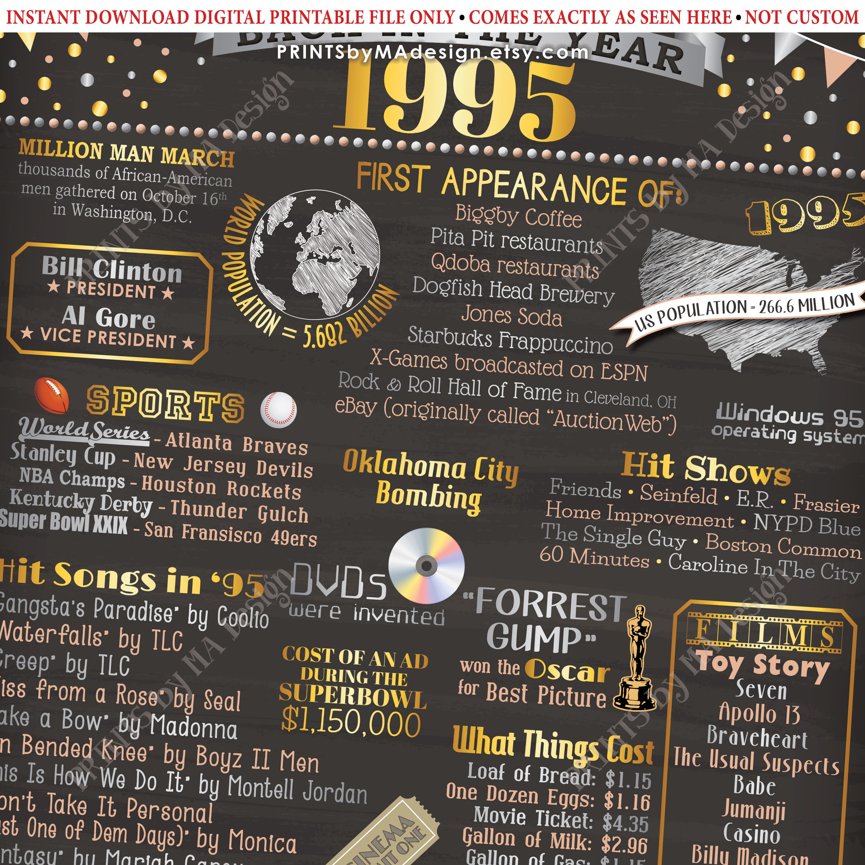 Class Of 1995 Reunion Decoration Back In The Year 1995 Poster