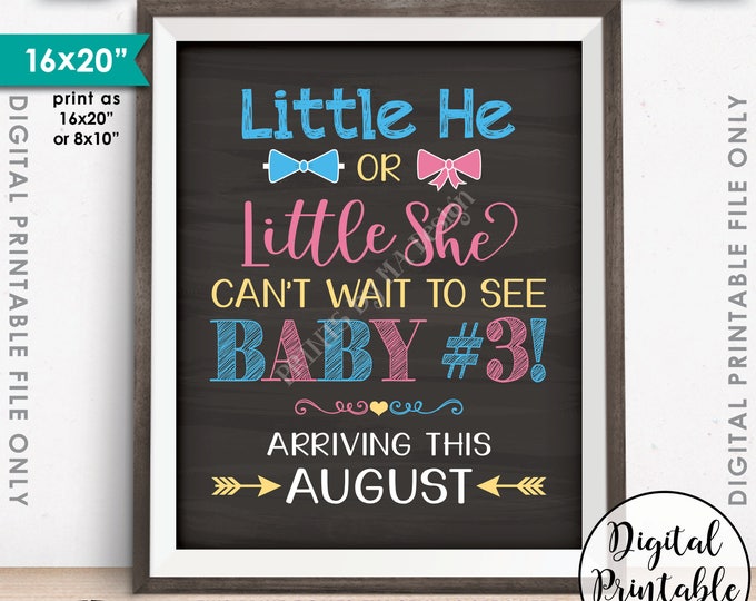 Pregnancy Announcement, Little He or Little She Can't Wait to See Baby Number 3 arriving in AUGUST Dated PRINTABLE Baby #3 Reveal Sign <ID>