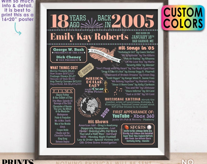 18th Birthday Poster Board, Born in 2005 Flashback 18 Years Ago B-day Gift, Custom PRINTABLE 16x20” Back in 2005 Sign