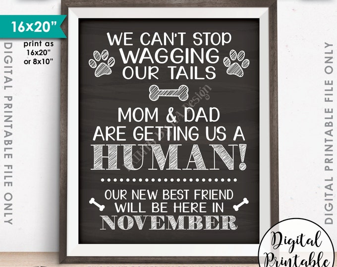 Dogs Pregnancy Announcement, Mom & Dad are Getting Us a Human, Due in NOVEMBER Dated Chalkboard Style PRINTABLE Pregnancy Reveal Sign <ID>