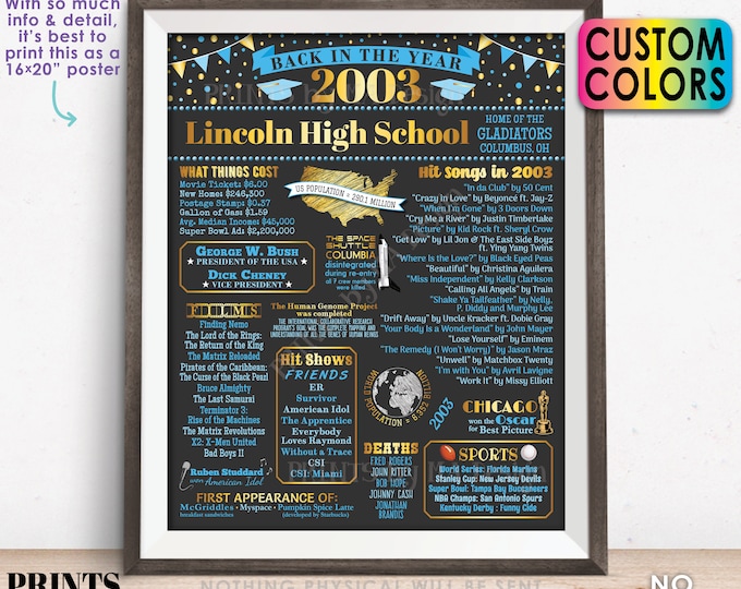 Back in the Year 2003 Poster Board, Class of 2003 Reunion Decoration, Flashback to 2003 Graduating Class, Custom PRINTABLE 16x20” Sign