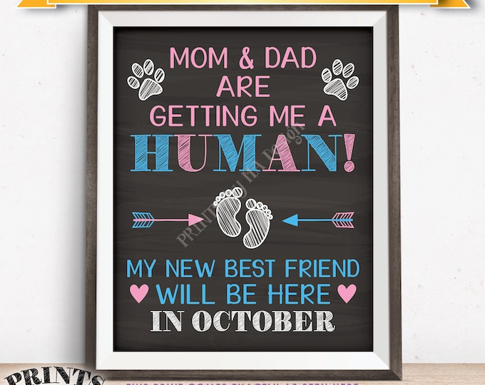 Pet Pregnancy Announcement Sign, Mom & Dad are Getting Me a Human in OCTOBER Dated Chalkboard Style PRINTABLE Baby Reveal for a Dog/Cat <ID>