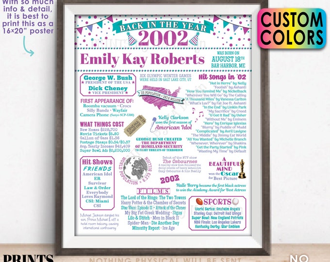 Back in the Year 2002 Birthday Sign, Flashback to 2002 Poster Board, Birthday Gift, Custom Colors, PRINTABLE 16x20” 2002 B-day Decoration