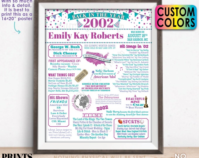 Back in the Year 2002 Birthday Sign, Flashback to 2002 Poster Board, Birthday Gift, Custom Colors, PRINTABLE 16x20” 2002 B-day Decoration